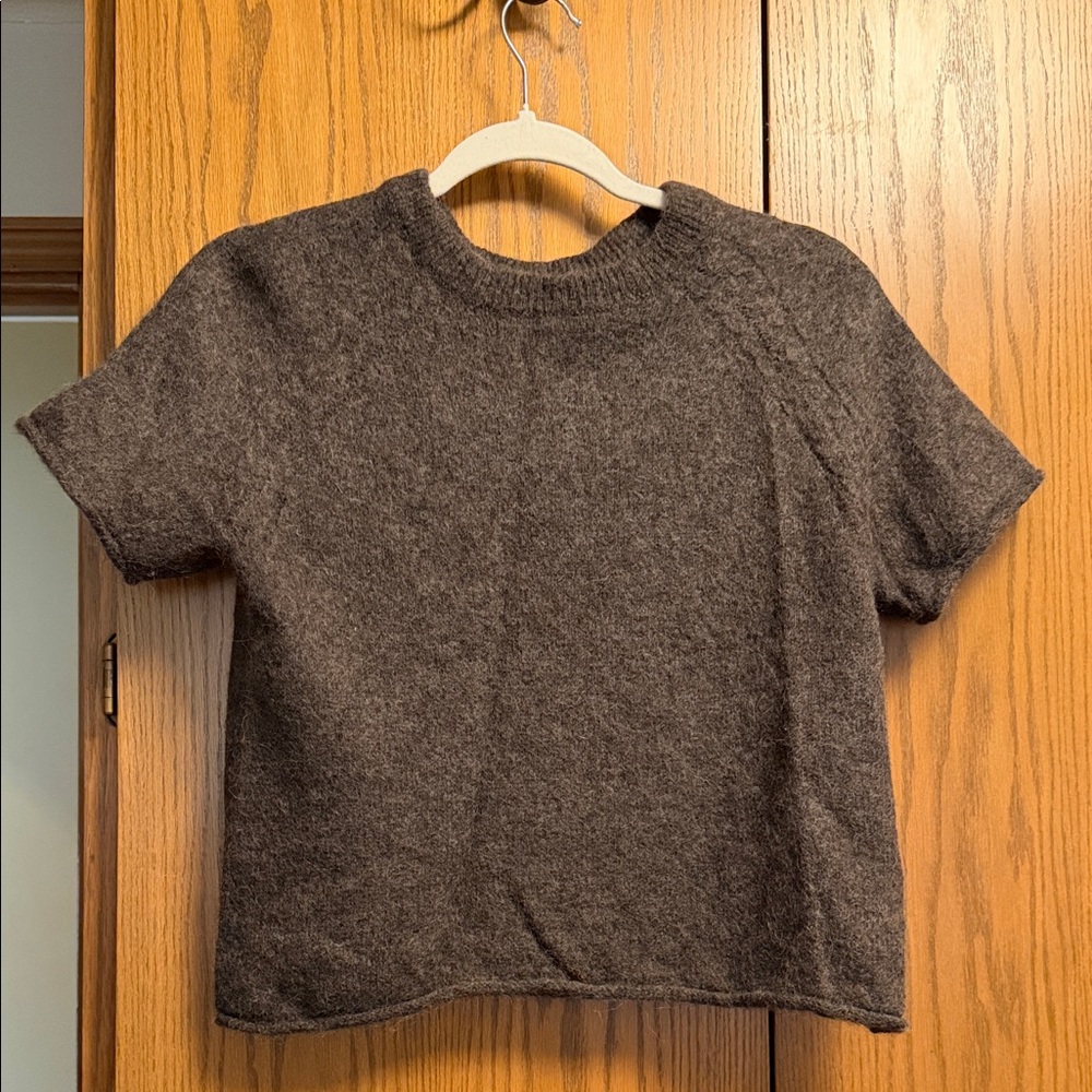 Treasure & Bond Chocolate Short Sleeve Sweater